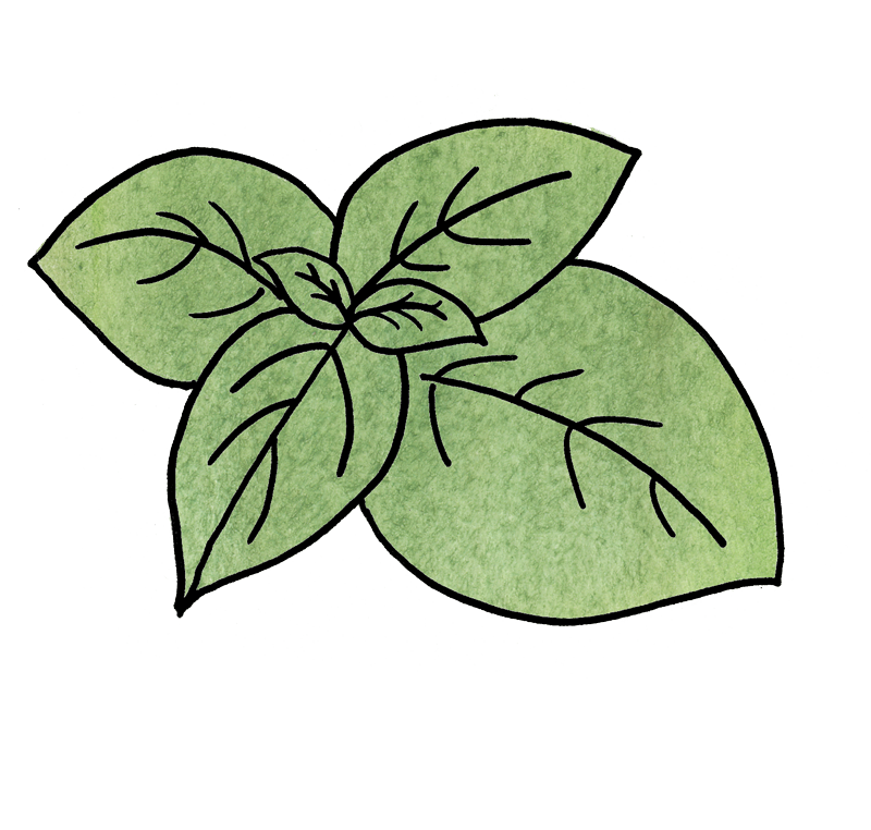 basil