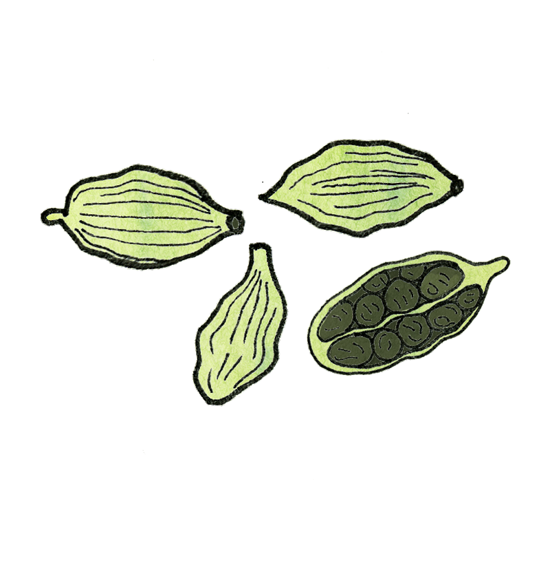cardamom